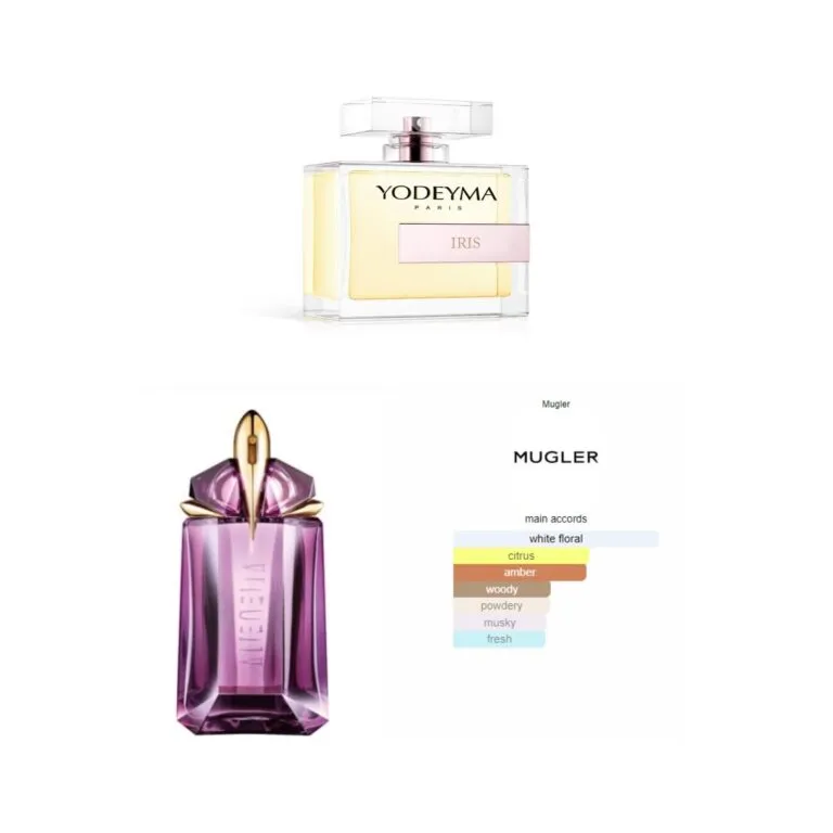 IRIS, Yodeyma EDP