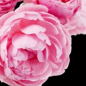PRIME, Yodeyma EDP – снимка 6