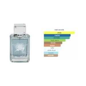 Shaheen Silver, FRAGRANCE WORLD EDP – снимка 2
