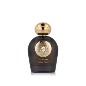 Tiziana Terenzi Hyakutake Extrait унисекс 100 ml – флакон